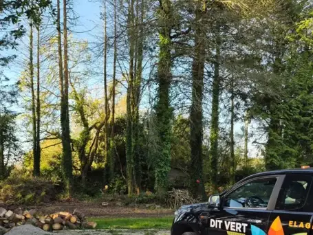 abattage d'arbres à Concarneau - image 3