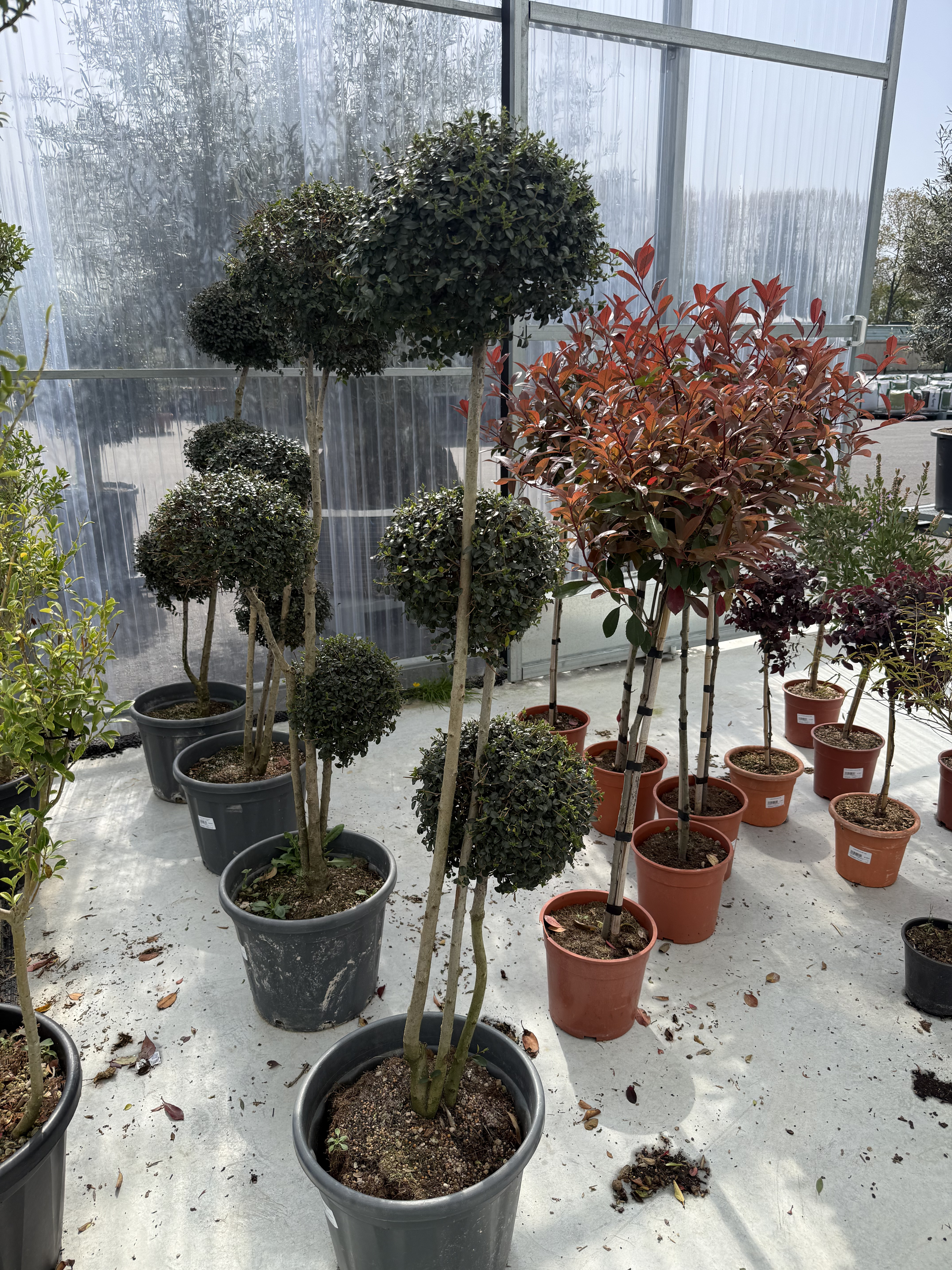 entreprise de terrassement concarneau