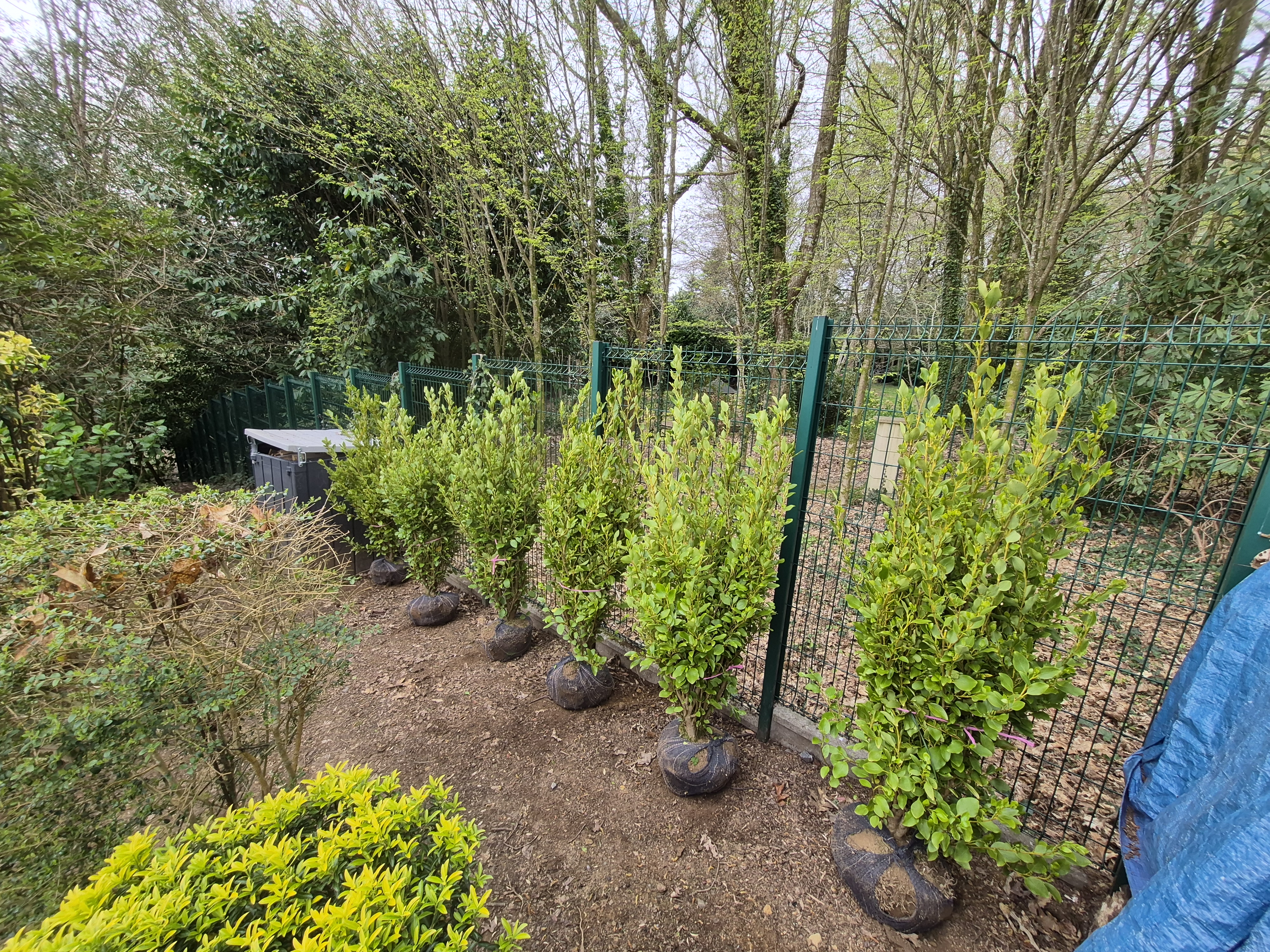 entreprise de terrassement elliant