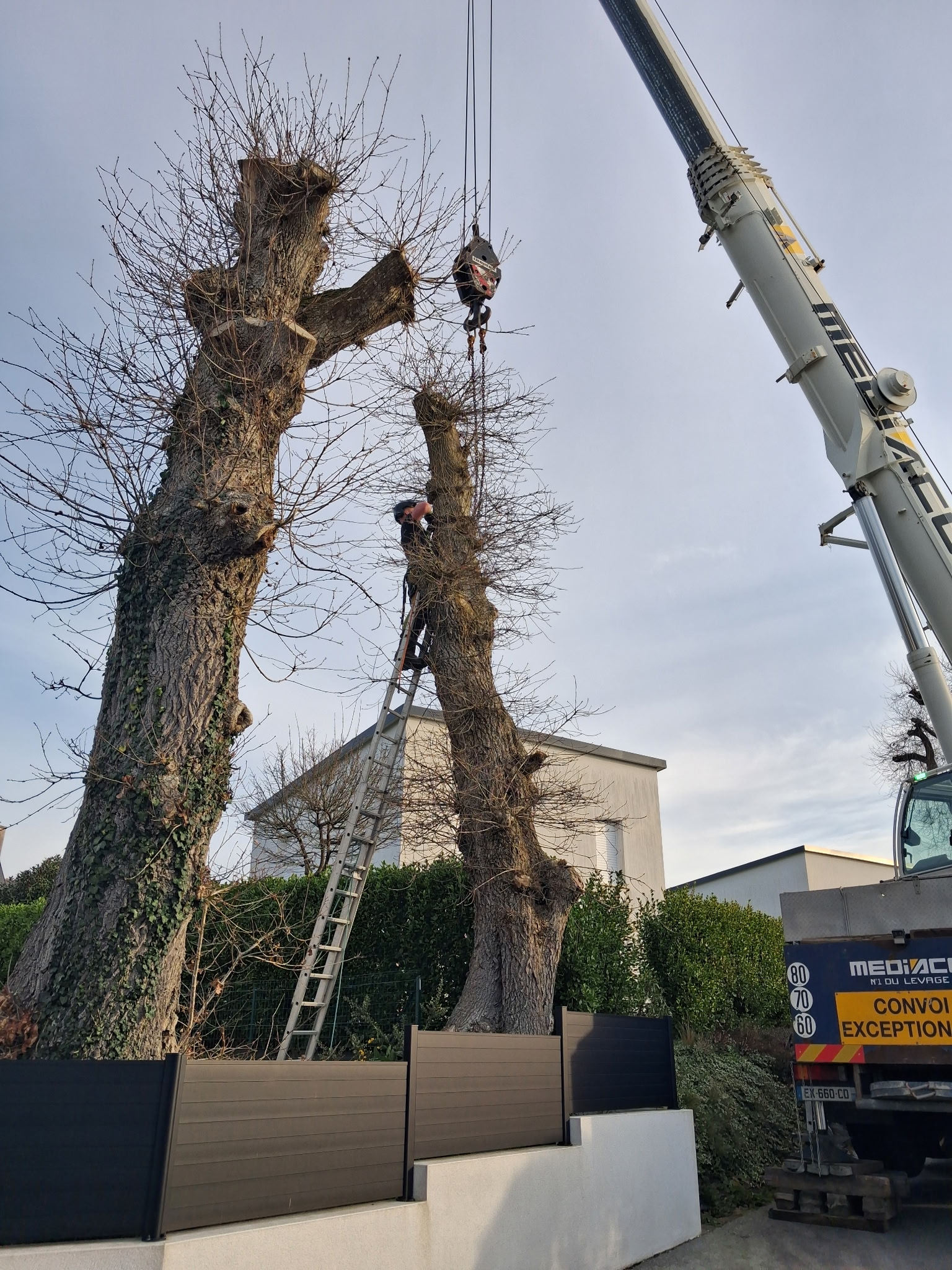 entreprise de terrassement riec sur belon