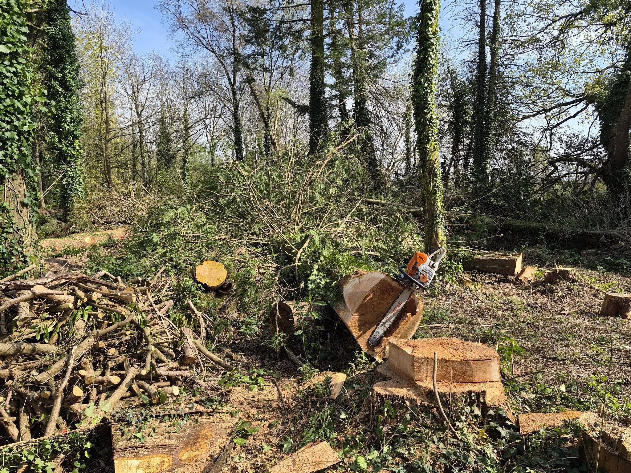 entretien de jardin tregunc