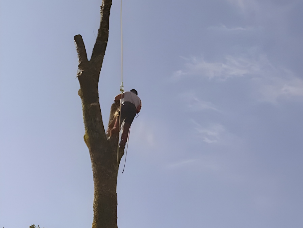 paysagiste tregunc